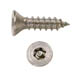 STAR PIN FLAT HEAD AB TAPPING SCREW STAINLESS STEEL